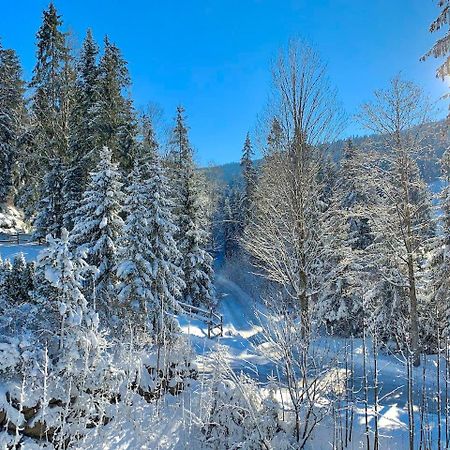 Ferienwohnung Haus Widmann Scheffau am Wilden Kaiser Exterior foto