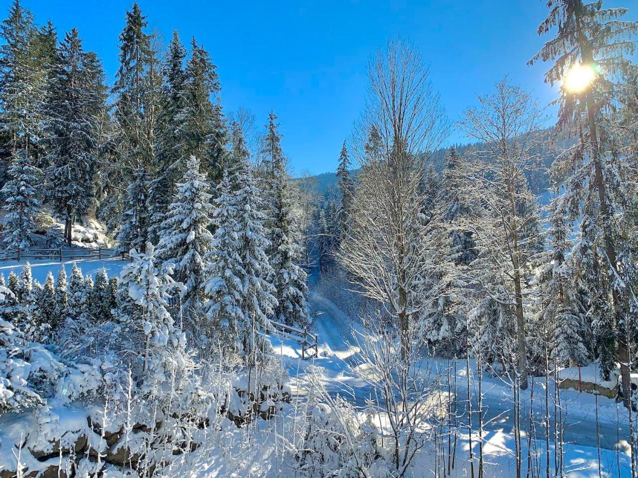Ferienwohnung Haus Widmann Scheffau am Wilden Kaiser Exterior foto